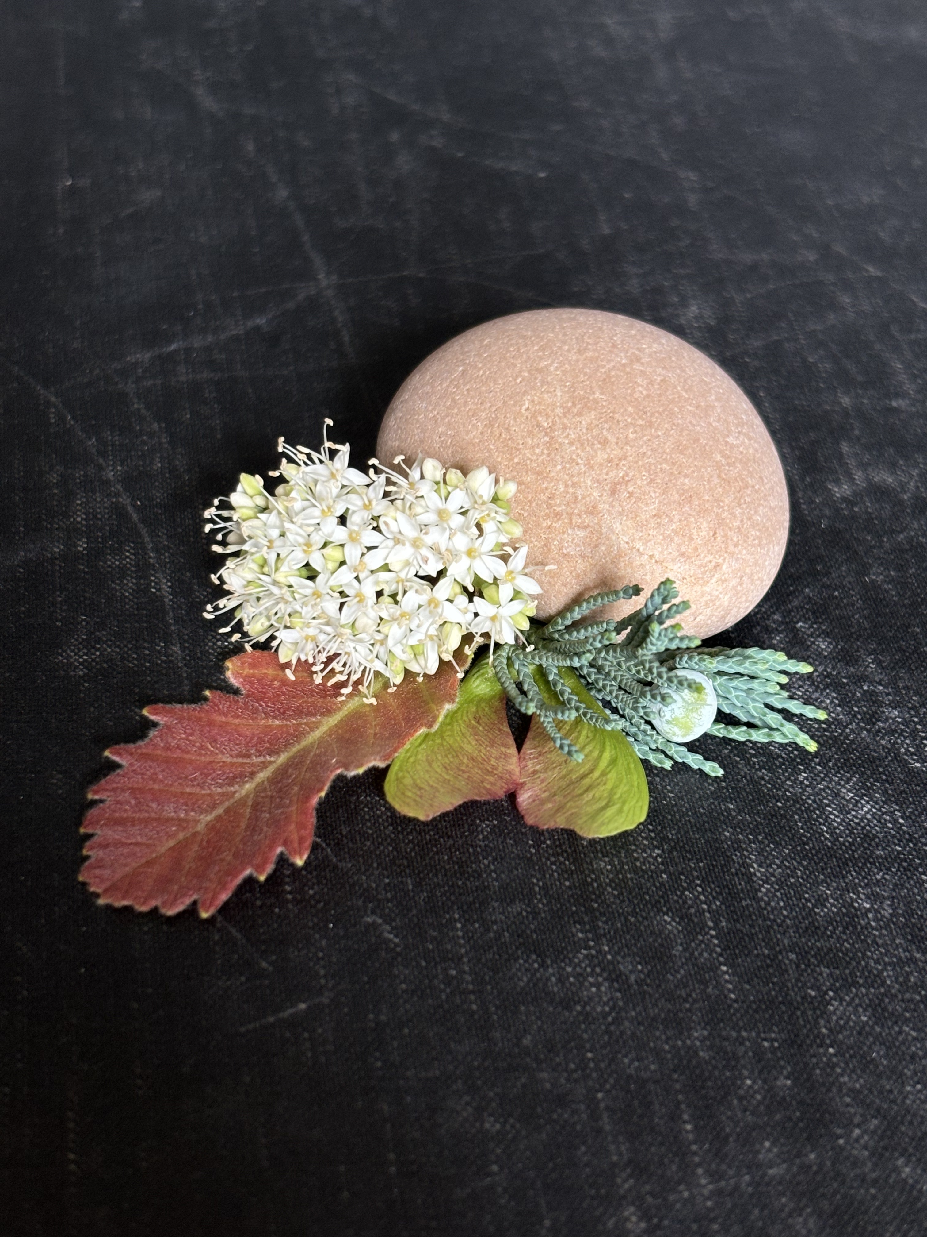 close up of leaves, flowers and rock on a black background